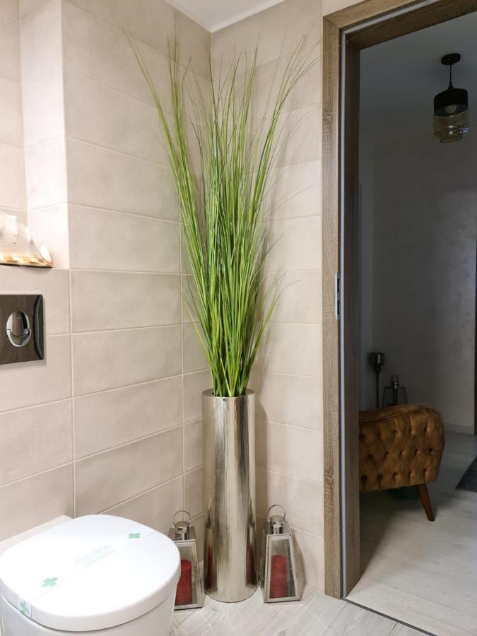 Apartment Alonisos Lux براشوف المظهر الخارجي الصورة