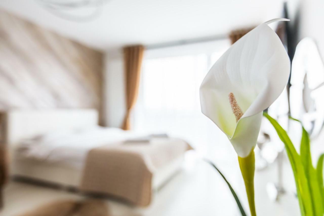 Apartment Alonisos Lux براشوف المظهر الخارجي الصورة