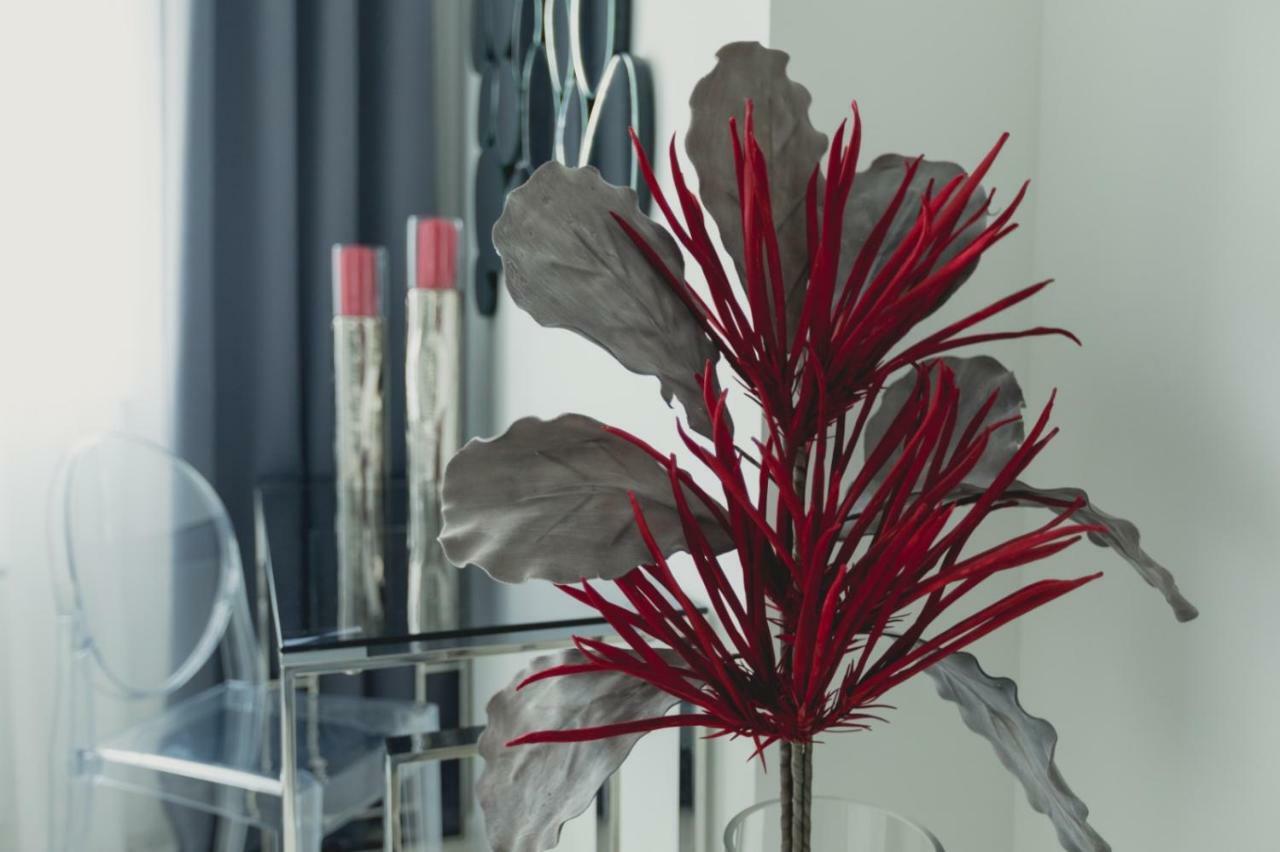 Apartment Alonisos Lux براشوف المظهر الخارجي الصورة